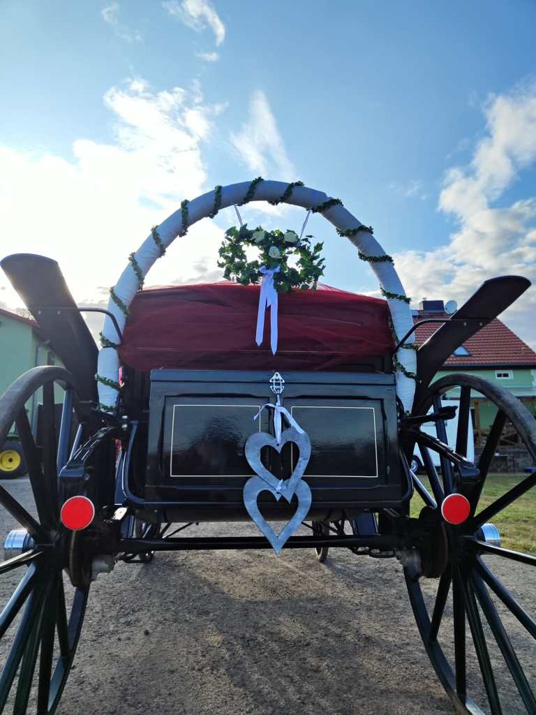 Hochzeitskutsche von Hinten